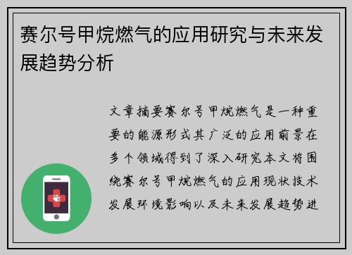 赛尔号甲烷燃气的应用研究与未来发展趋势分析